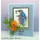 Kingfishers cling mounted Rubber Stamp