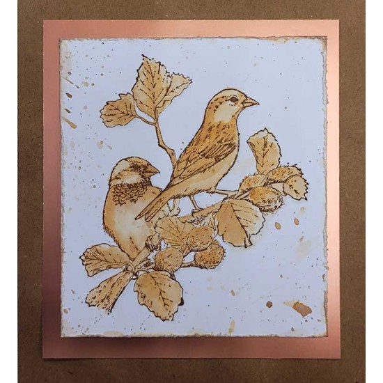 Sparrows Cling Rubber Stamp