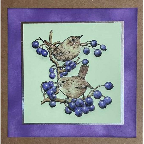 Wrens Cling Rubber Stamp