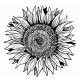 Sunflower Cling Rubber Stamp Set