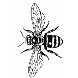 Big Bee Cling Rubber Stamp