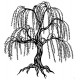 Weeping Willow Cling Rubber Stamp