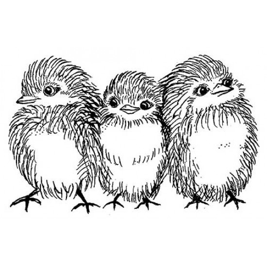 Fluffy Chicks Cling Rubber Stamp