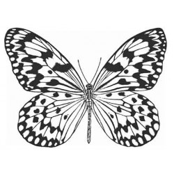 Butterfly 3 Cling Rubber Stamp