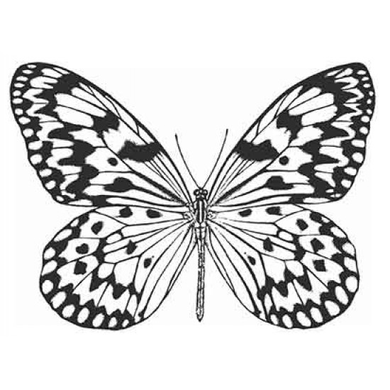Butterfly 3 Cling Rubber Stamp