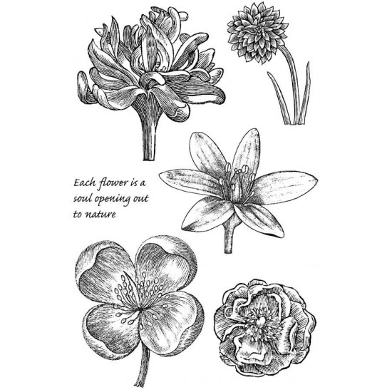 Engraved Flowers  Engraved flower, Clear stamps, Flower stamp