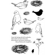 Feathered Nest Rubber Stamp Set