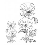 Poppies rubber stamps