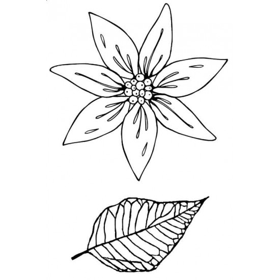Poinsettia Duo Rubber Stamp Set