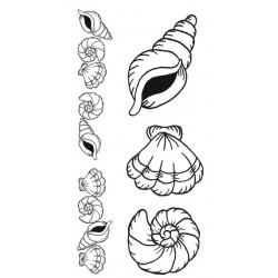 Seashells Rubber Stamp Set
