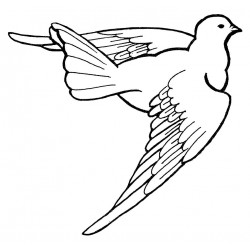 Dove Right Rubber Stamp