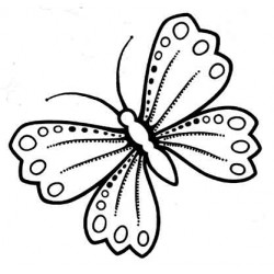 Lg Butterfly rubber stamp by Teri Sherman
