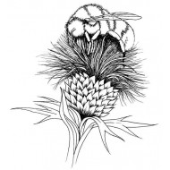 Bee on Thistle Cling Rubber Stamp