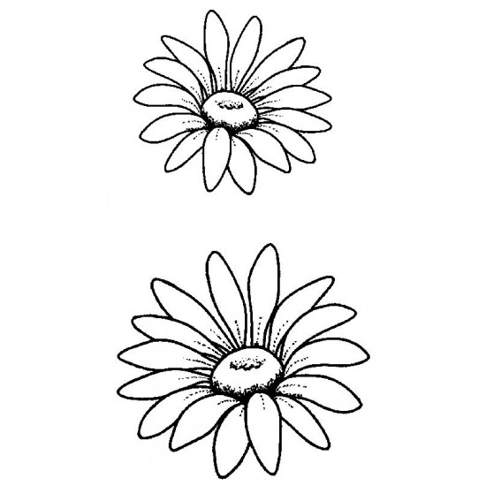 Teri's Daisies Unmounted Rubber Stamps