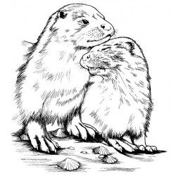 Otter Snuggles cling mounted Rubber Stamp