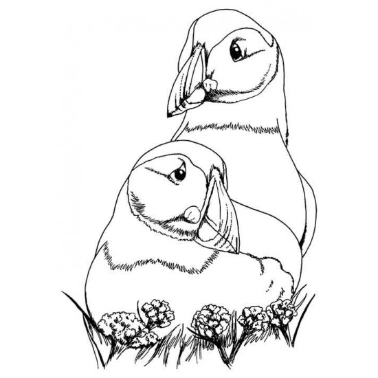 Puffin Love cling mounted Rubber Stamp