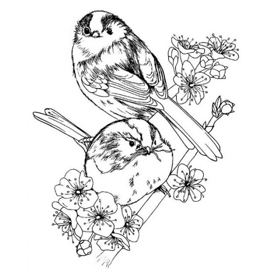 Long Tailed Tits Cling Rubber Stamp