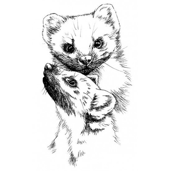 Pine Martens cling rubber stamp