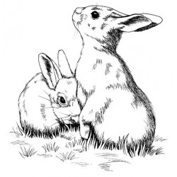 Bunny Couple cling rubber stamp