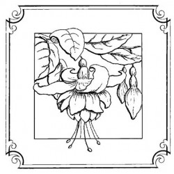 Fuchsia in Fancy Frame Cling mounted Rubber stamp
