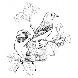 Sparrows Cling Rubber Stamp