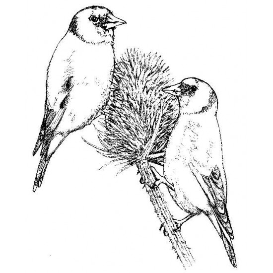 Goldfinches Cling Rubber Stamp
