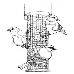 Great Tits Cling Rubber Stamp