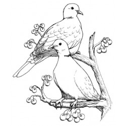 Collared Doves Cling Rubber Stamp