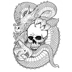 Dragon Skully Cling mounted Rubber Stamp